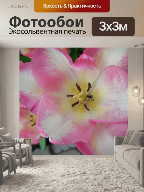 Фотообои Природа