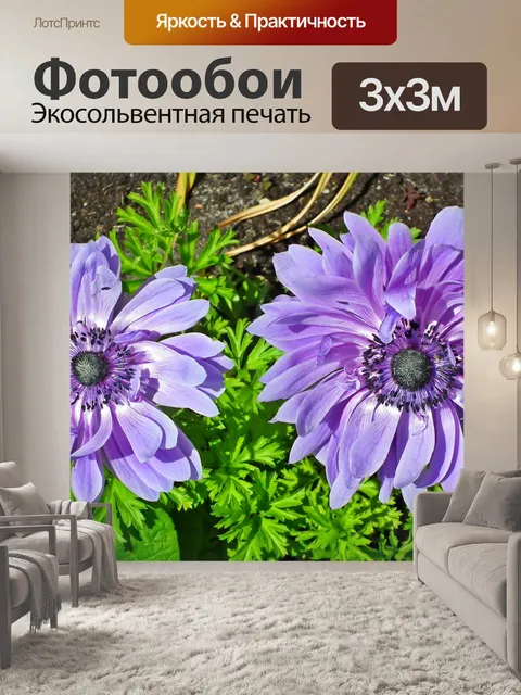 Фотообои Анемоны