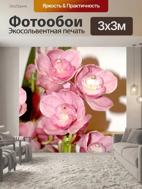 Фотообои Фото цветка орхидеи