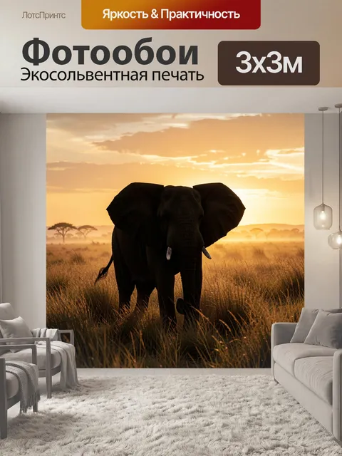 Фотообои Слон на африканском закате