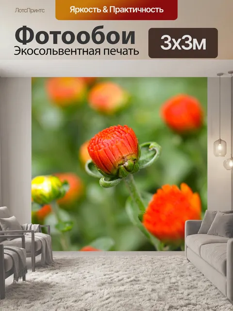 Фотообои Цветы