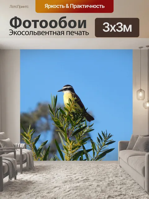 Фотообои Птица