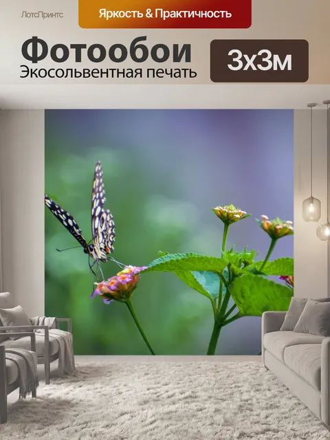 Фотообои Бабочка