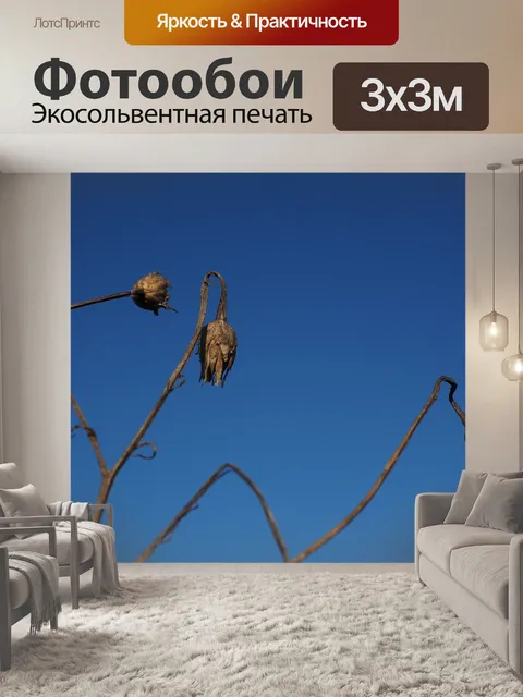 Фотообои Васильковый