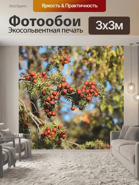 Фотообои Дерево