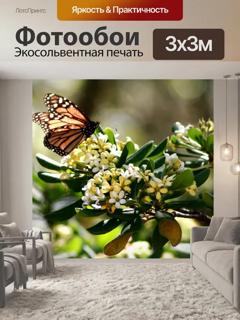 Фотообои Бабочка в Весна
