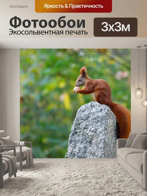 Фотообои Белка в саду
