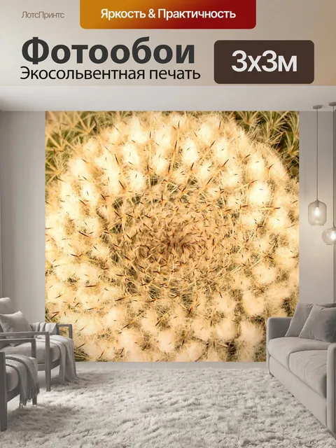 Фотообои Кактус пустынное растение