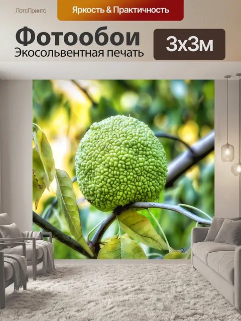 Фотообои Дерево