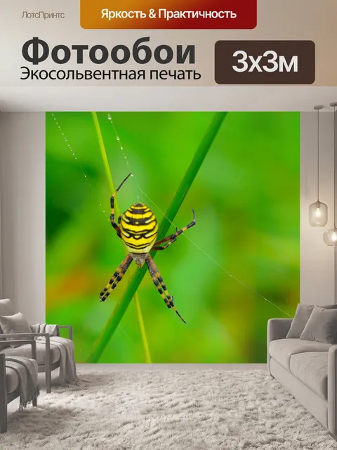 Фотообои Насекомое