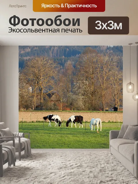 Фотообои Пейзаж