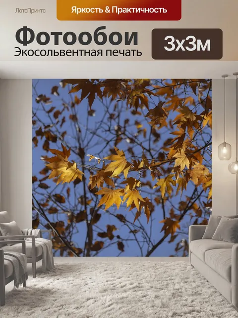 Фотообои Осень