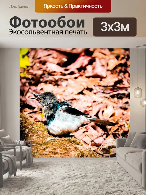 Фотообои Птица
