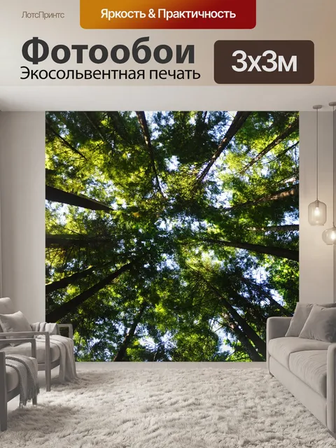 Фотообои Деревья