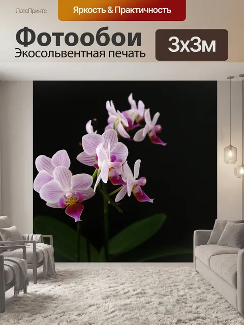 Фотообои Белый