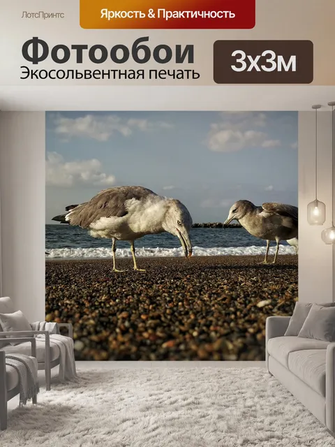 Фотообои Небо