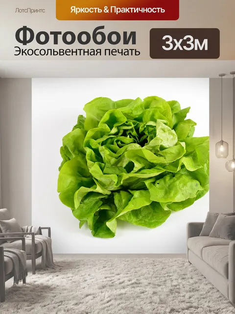 Фотообои Зеленый салат