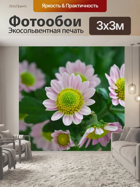 Фотообои Цветы