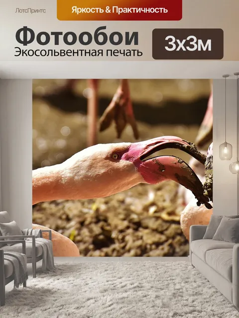 Фотообои Фламинго