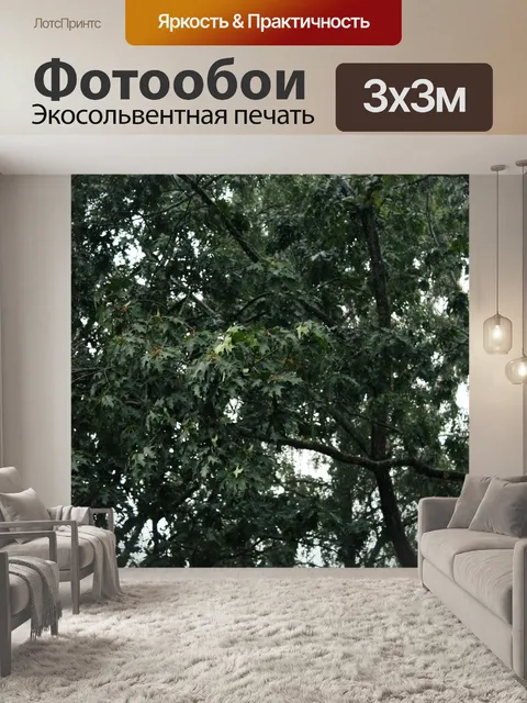 Фотообои Лес