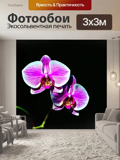 Фотообои орхидея в стиле минимализма, с легким силуэтом