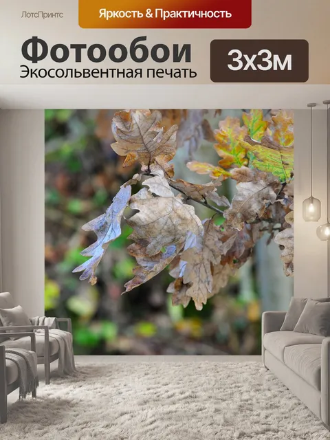 Фотообои Листья