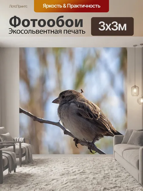 Фотообои Птицы