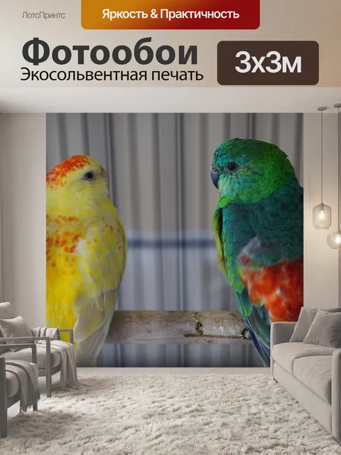 Фотообои Попугай