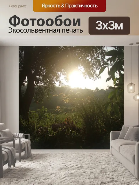 Фотообои Восход солнца