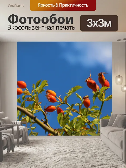 Фотообои Шиповник