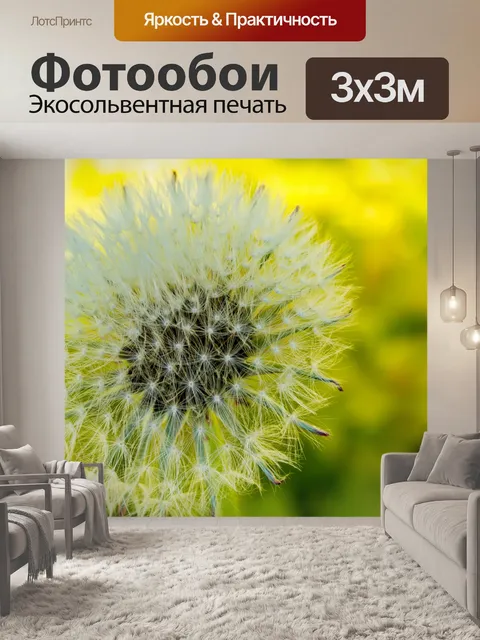 Фотообои одуванчик