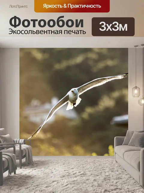Фотообои Птица