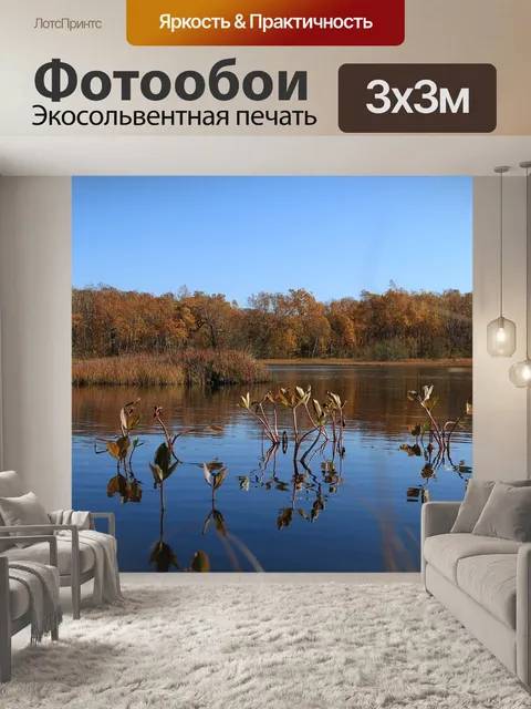 Фотообои Осень