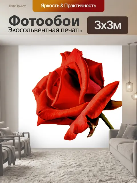 Фотообои Роза