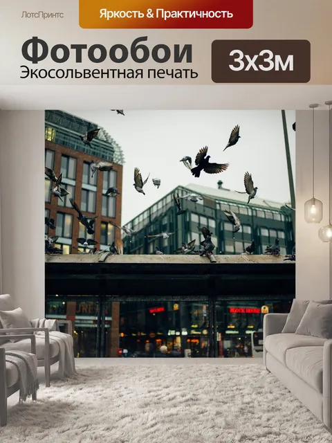 Фотообои Голуби