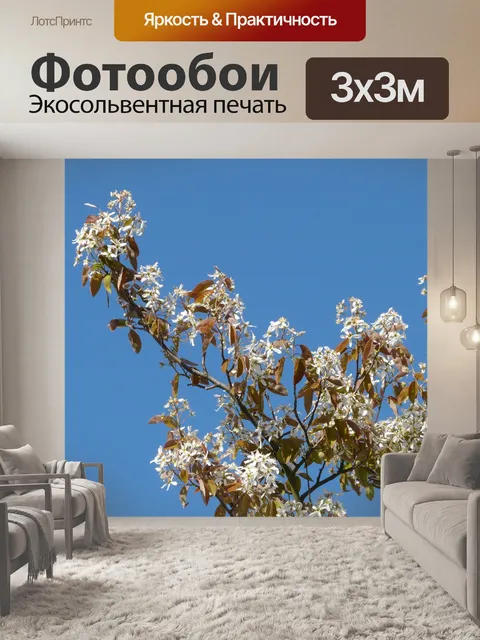 Фотообои Звездная магнолия