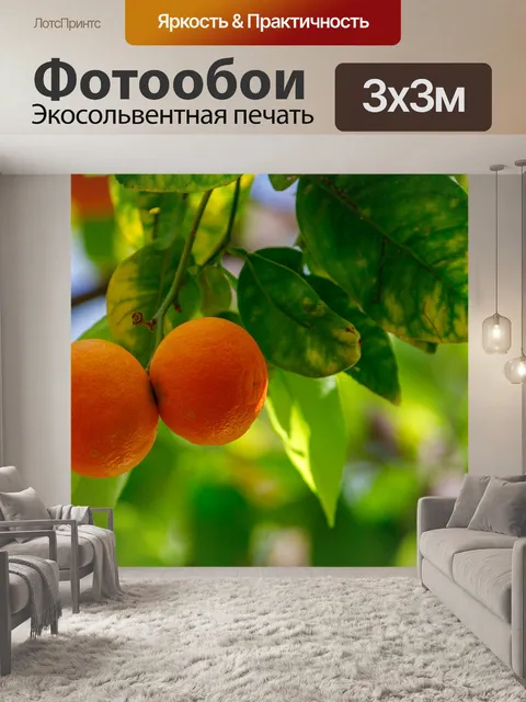Фотообои Выращивание апельсинов