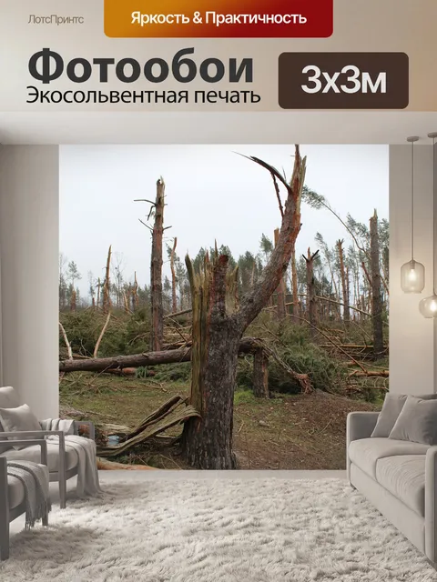 Фотообои Дерево