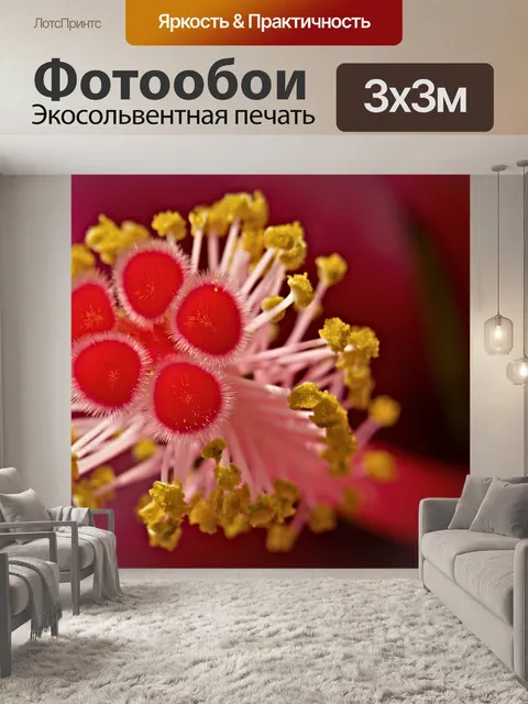 Фотообои Цветы