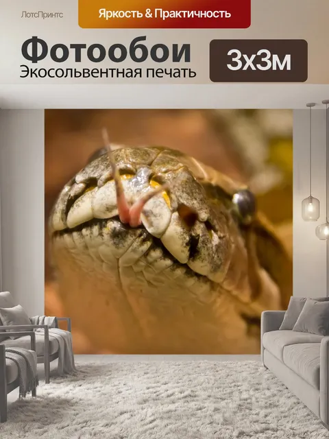 Фотообои Линия