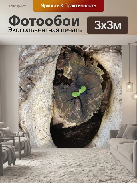Фотообои Дерево