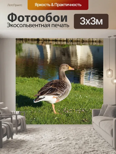 Фотообои Птица