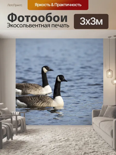 Фотообои Грейлаг Гусь