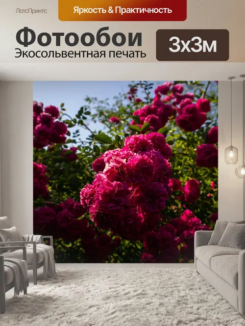Фотообои Цветы