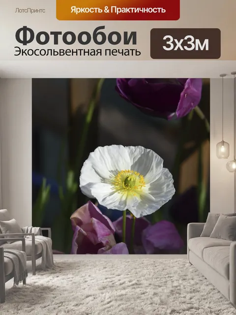 Фотообои Белый Matilija Мак