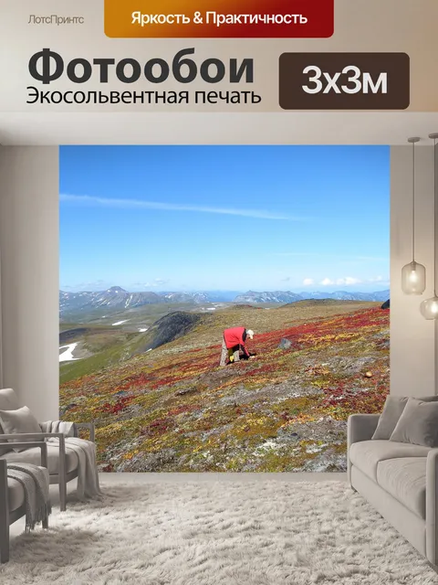 Фотообои Горы