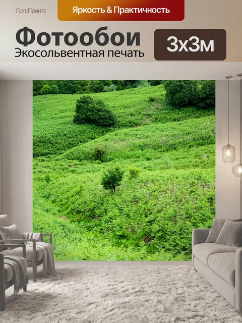 Фотообои Луг полный папоротников