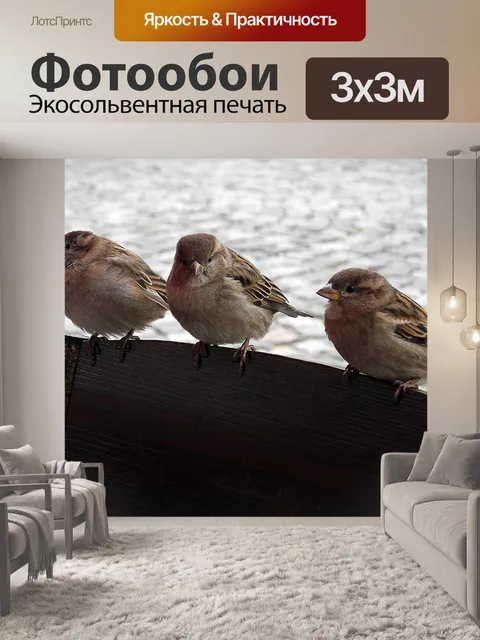 Фотообои Птицы