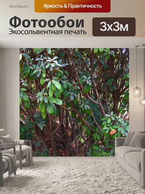 Фотообои деревья с зелеными гроздьями листьев