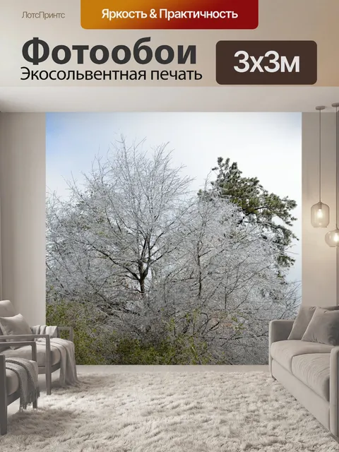 Фотообои Лед, покрытый Деревья